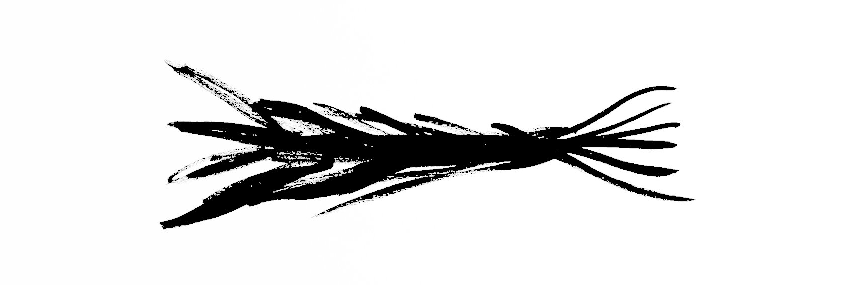 p_batistella's profile banner image