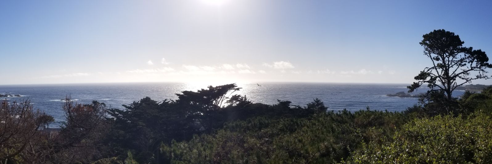 EpicFailsauce banner