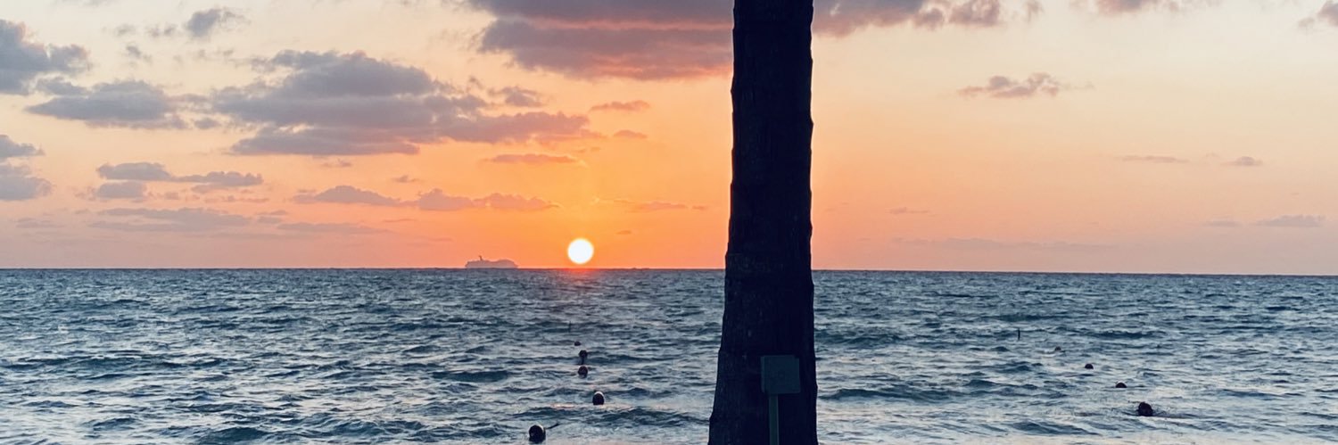 Robb Le Vien Jr banner