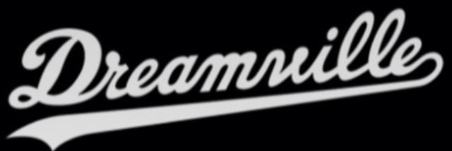 Vill banner