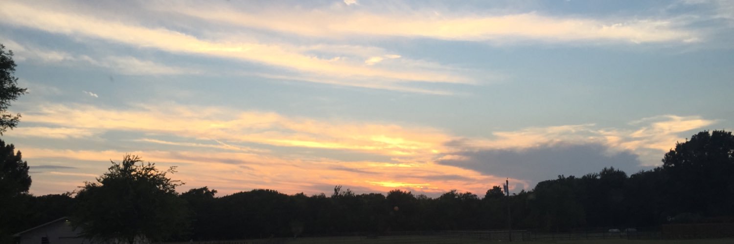 pierce_haley's profile banner image