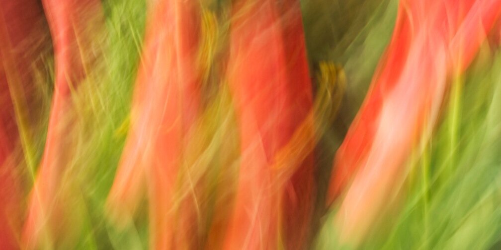 davidpatterson's profile banner image