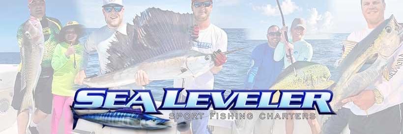 SeaLeveler2's profile banner image