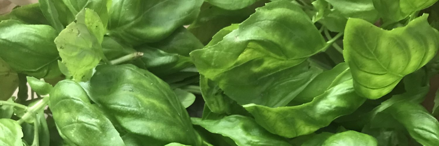 ckaplan99's profile banner image