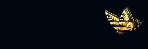 HeartsGoddess's profile banner image