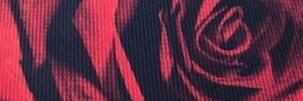 rallemant's profile banner image