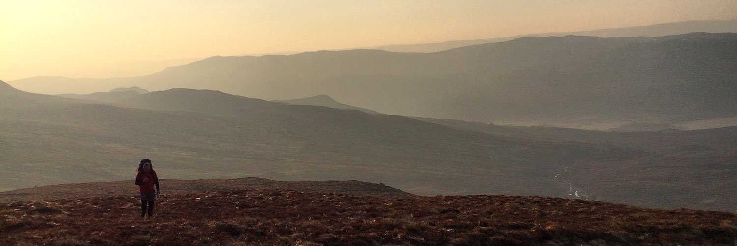 Nene Inspired banner