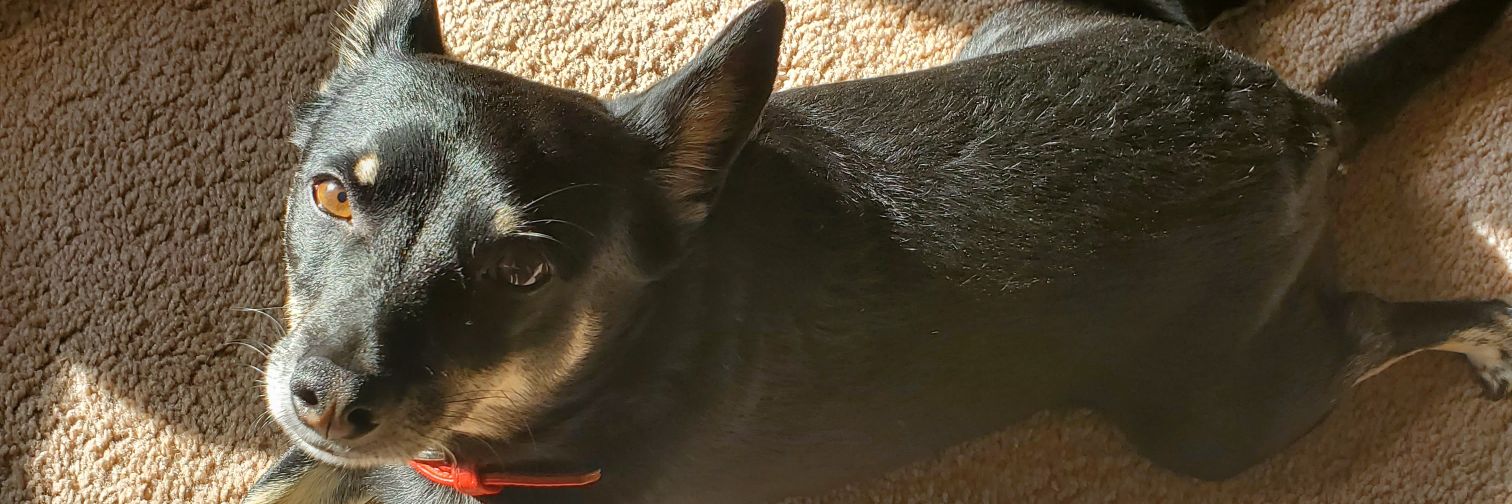 erickayoungin's profile banner image