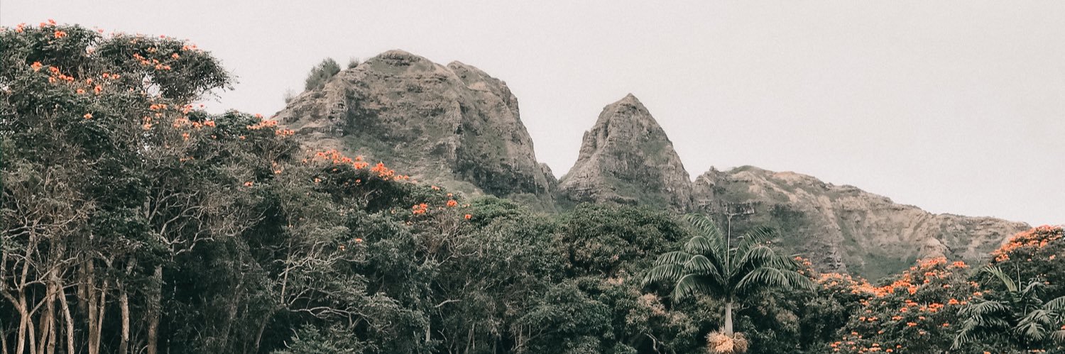 dalaynalanee's profile banner image