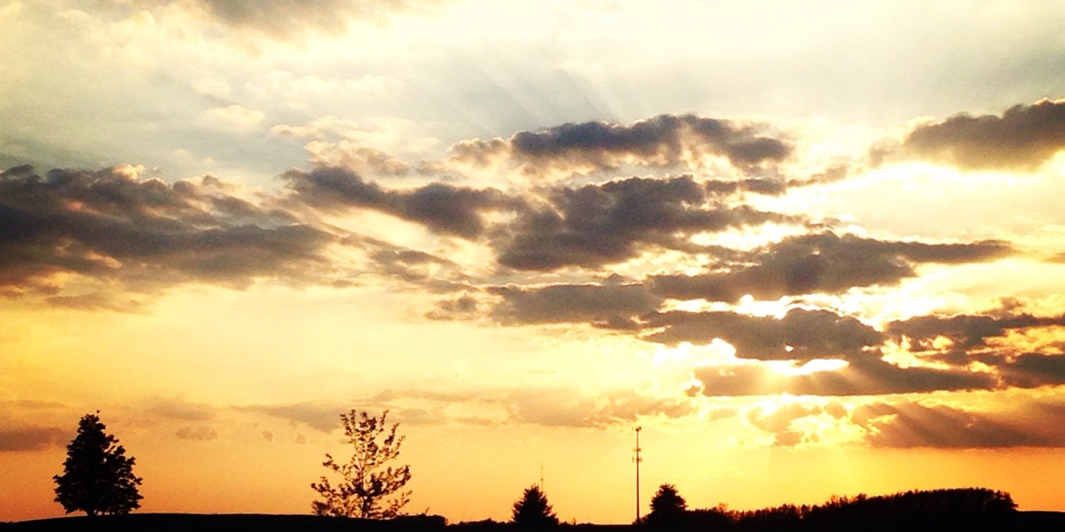 taypfeil's profile banner image