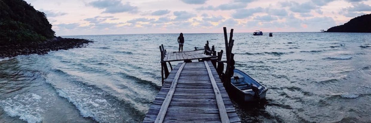 Cammie banner