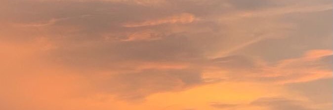 sofiaissoglio's profile banner image