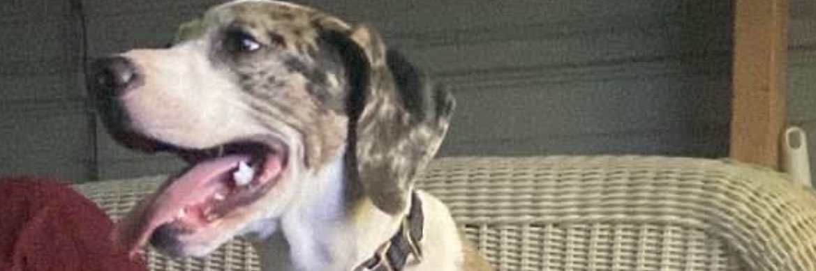 DopeorDead's profile banner image