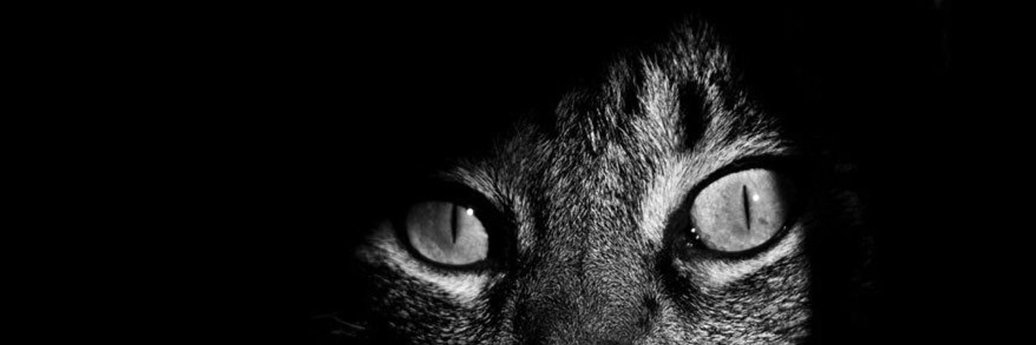 neura 🇨🇬 banner