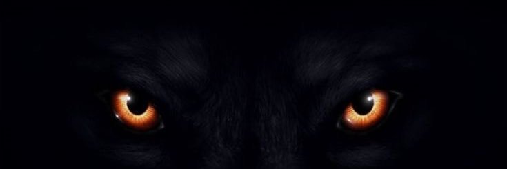 dhhruv17's profile banner image