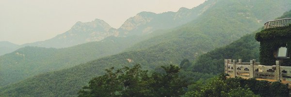 teixeira853 Profile Banner