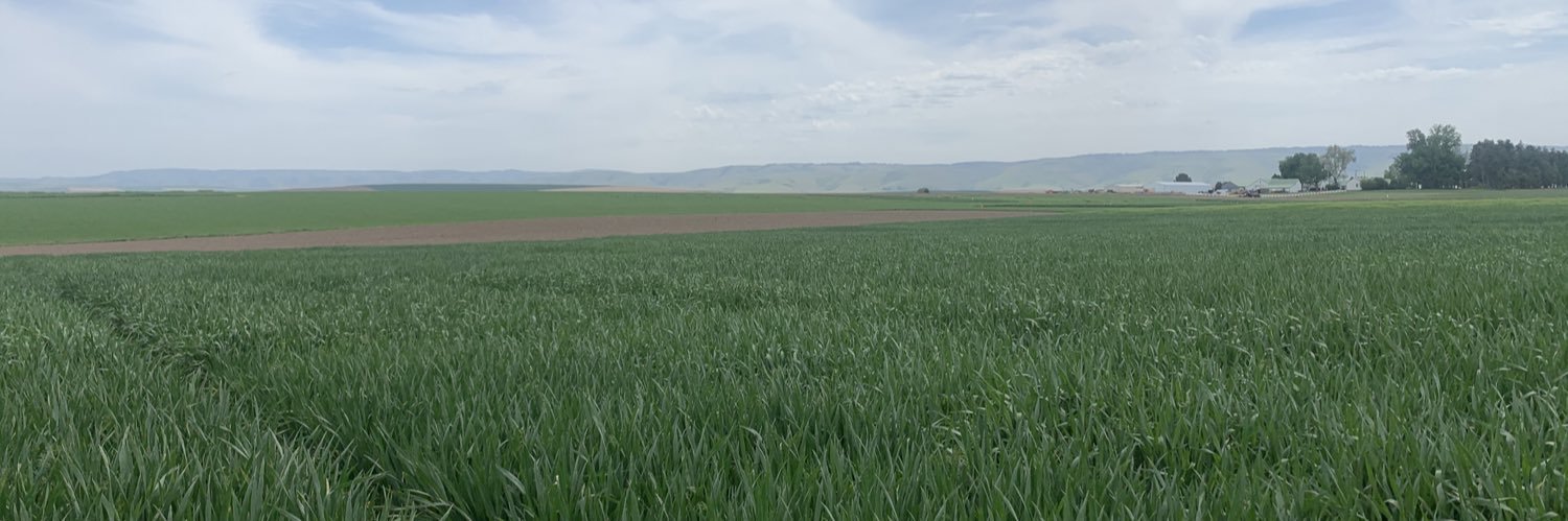 Ryan Graebner banner