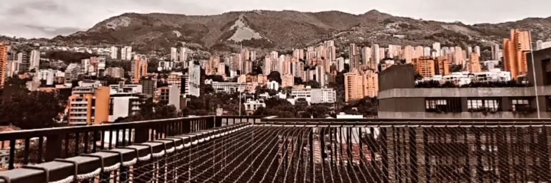 birdking.eth (🦉, 👑, 🪹) banner