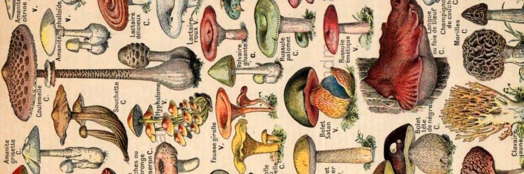 n_naylon's profile banner image