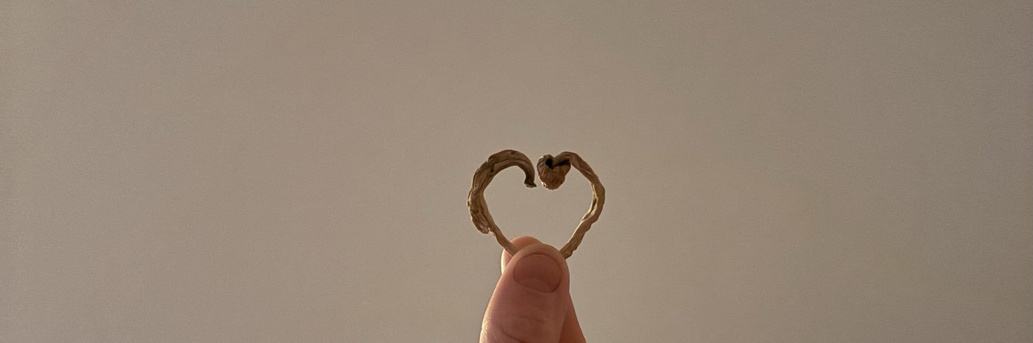 killzz🇵🇸 banner