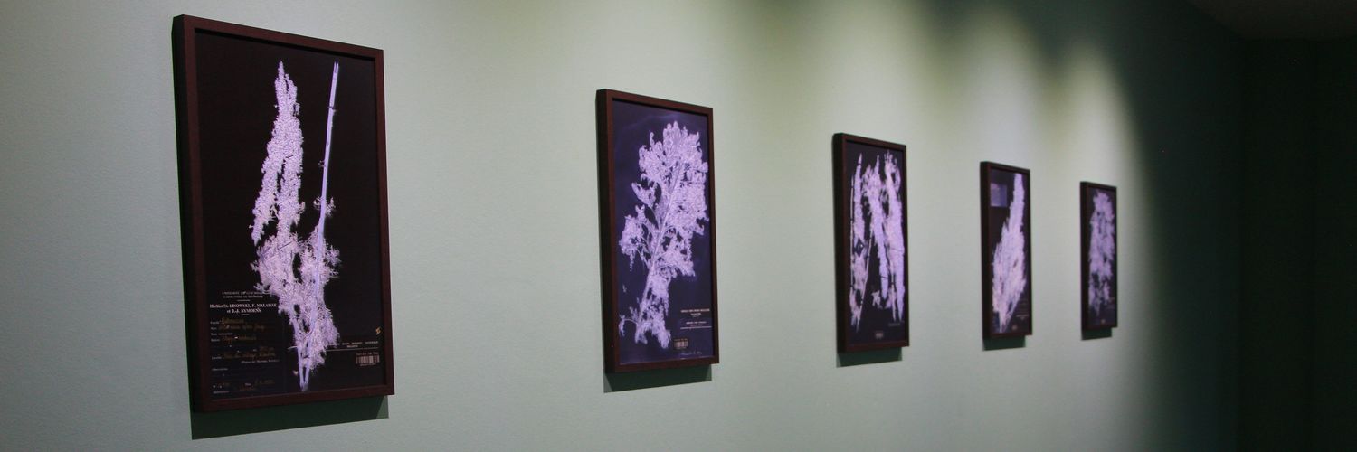 Keng73441's profile banner image