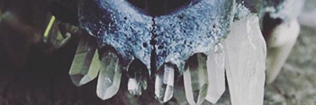 danniturnip's profile banner image