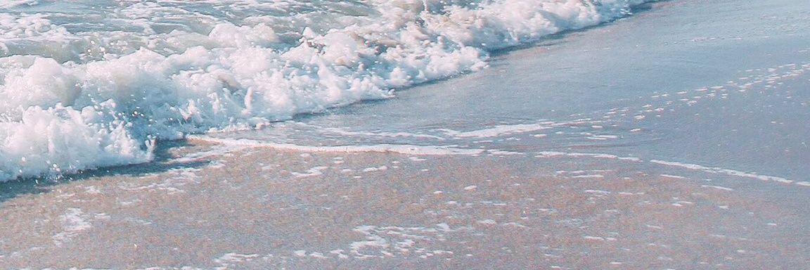 LTB👶 banner