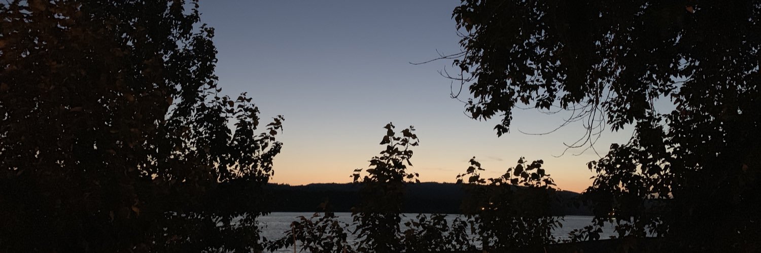 betsyishere's profile banner image