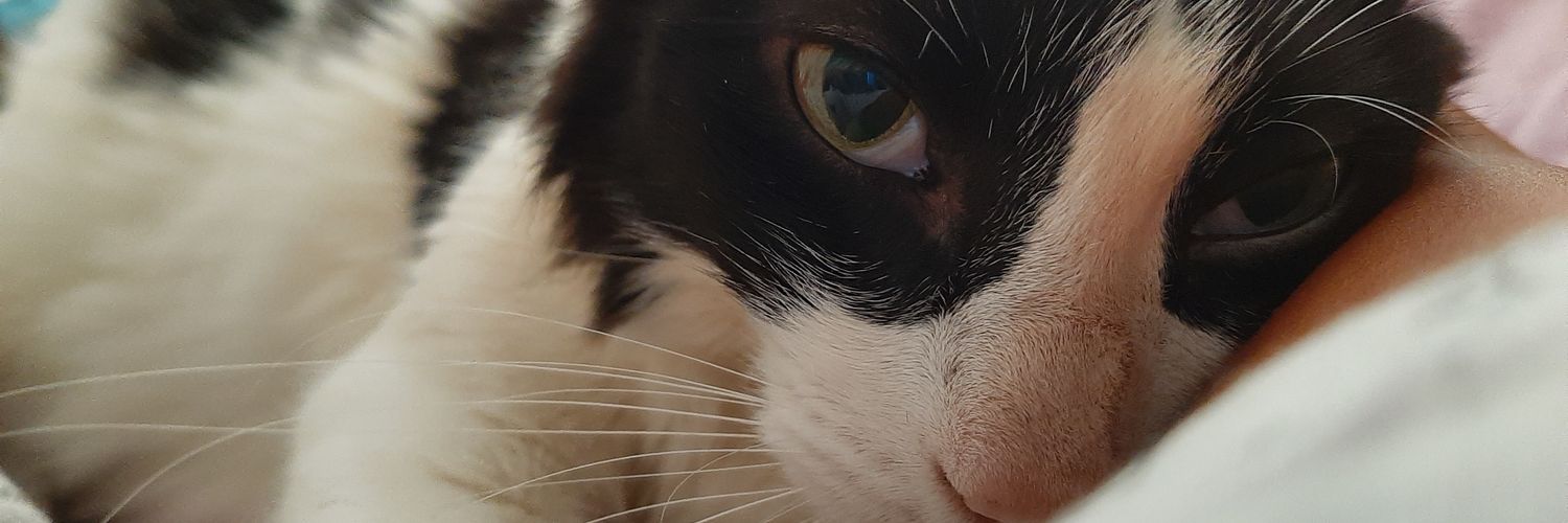 cristelf14's profile banner image