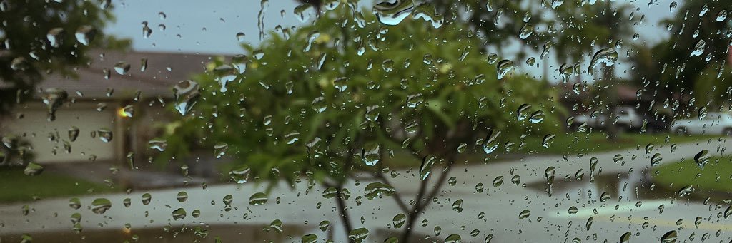 I am KITTY CAPRICE banner