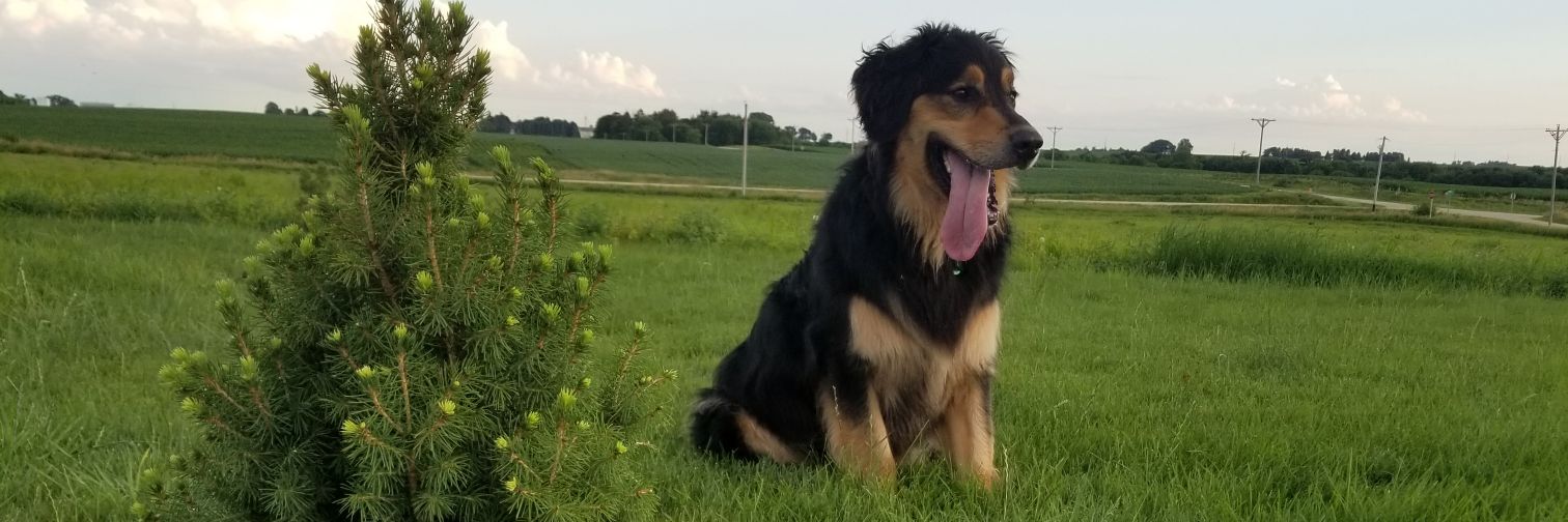 SamAdducci's profile banner image