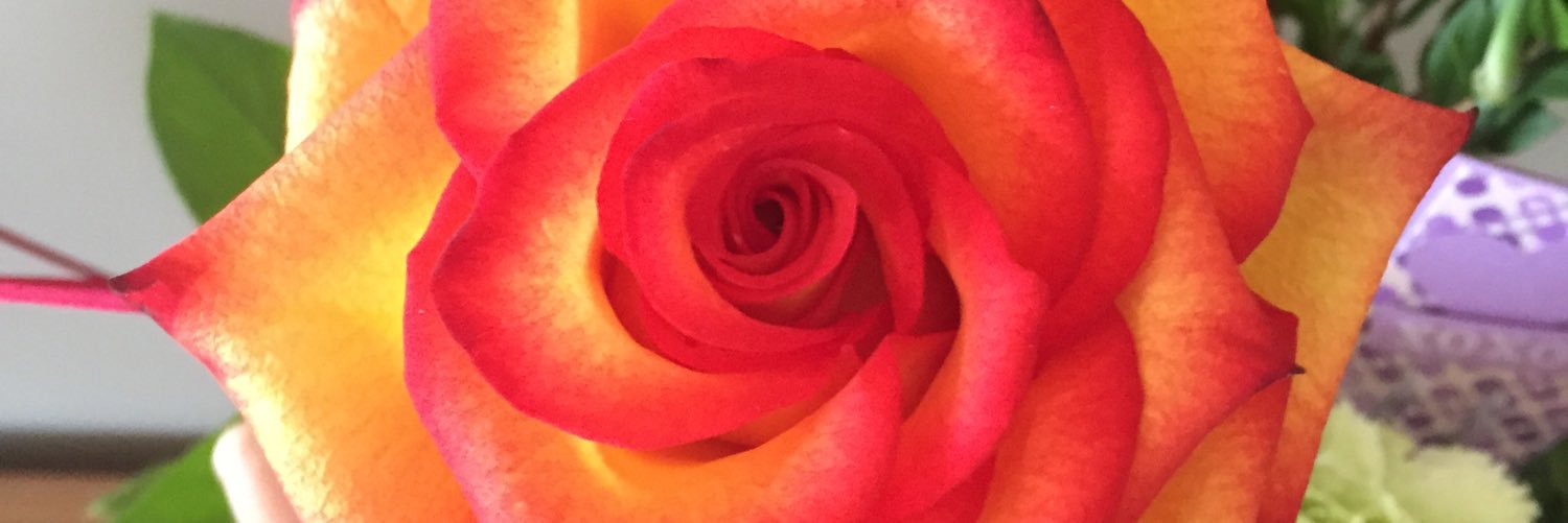 lislorette's profile banner image