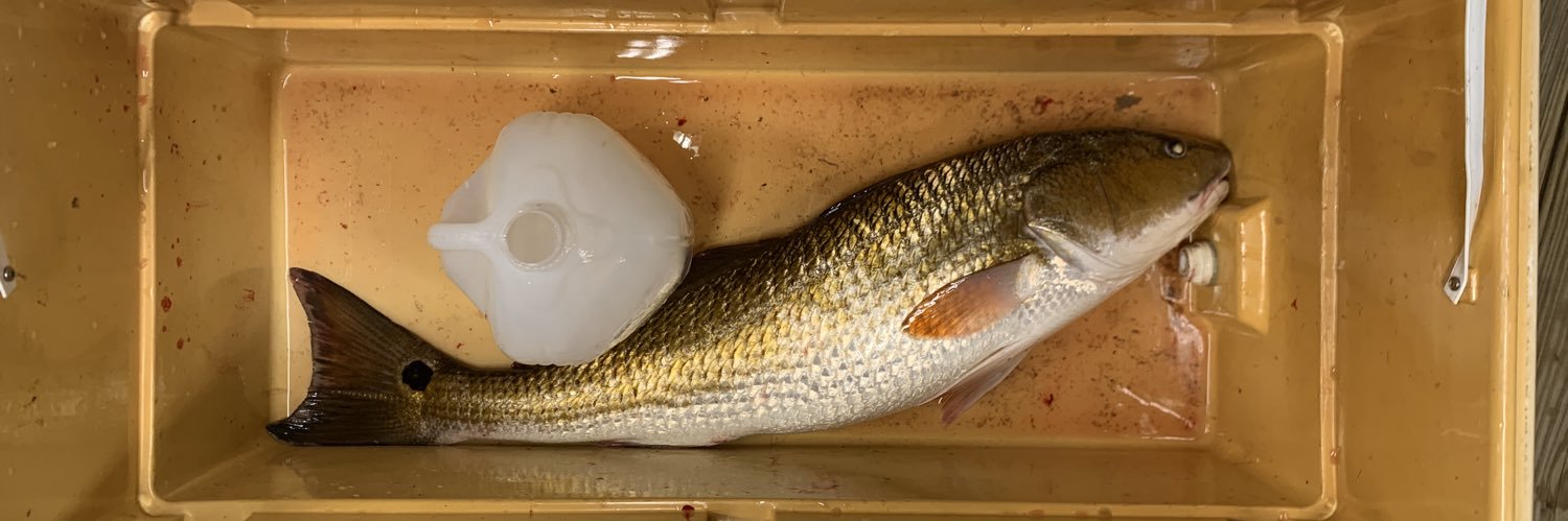 Marshall Frith banner