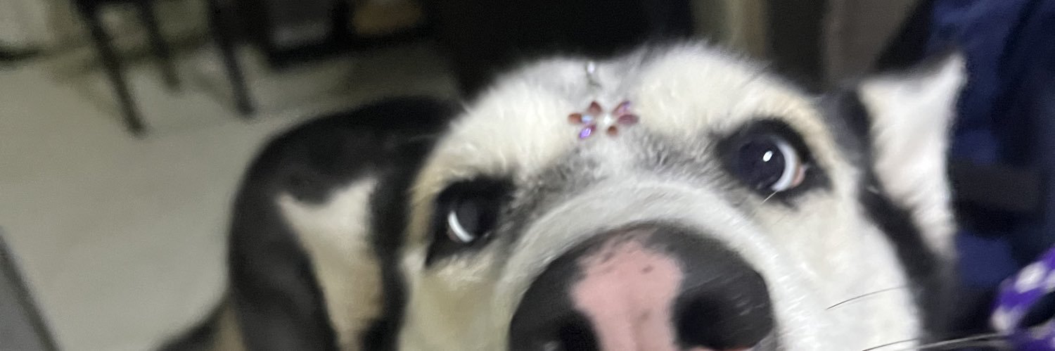SebastianRuiz29's profile banner image