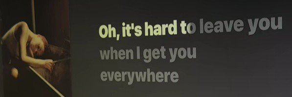 macadlamia's profile banner image