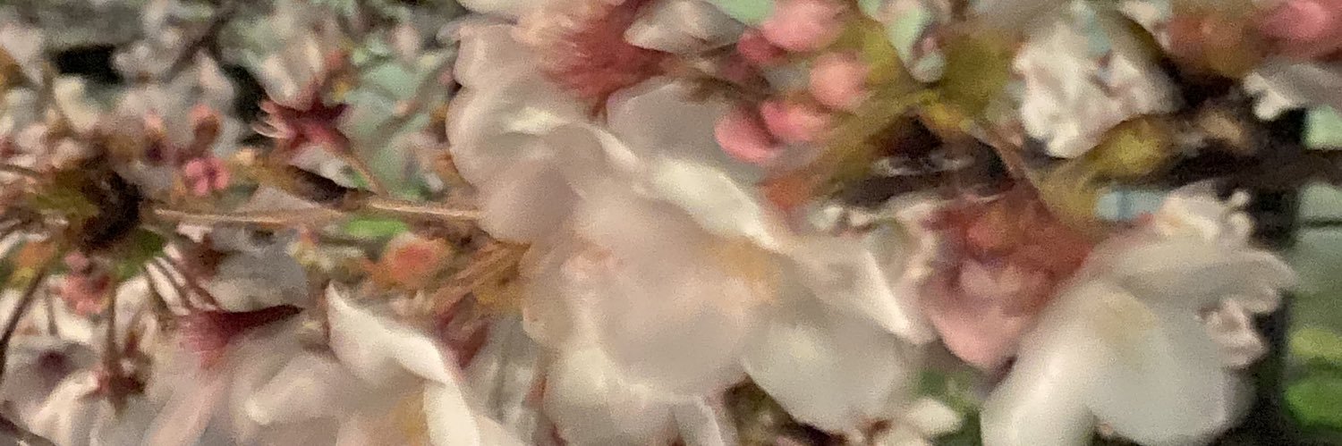 tsono8714's profile banner image