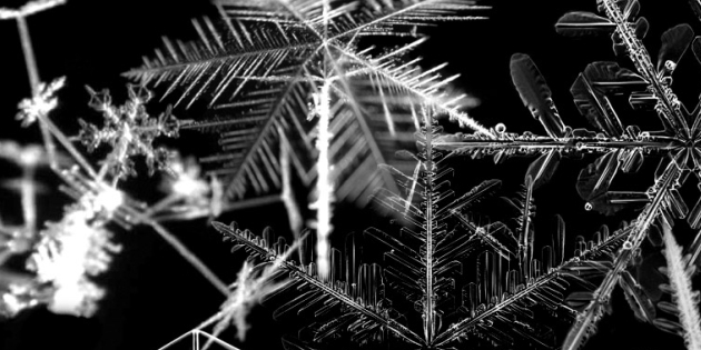 dimidynamit's profile banner image
