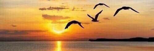 Bint_Rashed2020's profile banner image