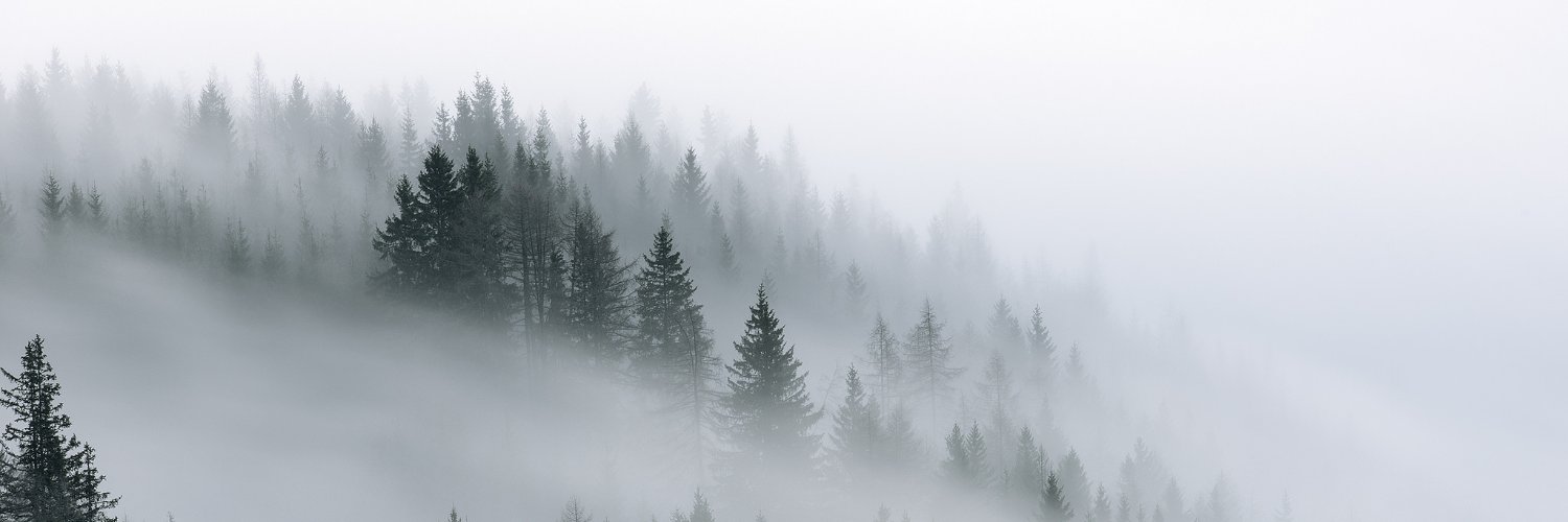 VLAD_WEREWOLF_'s profile banner image