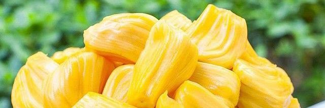 Shy Ronnie 🇺🇬 🇬🇧🇺🇲🇩🇪🇨🇳 banner