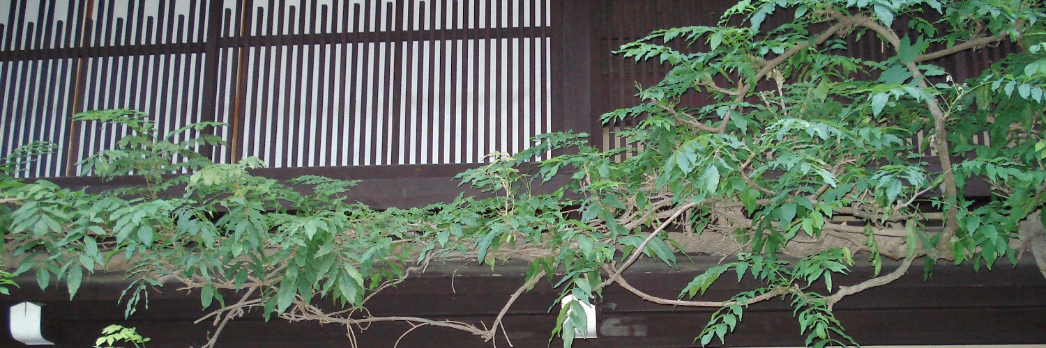 shirowabisuke's profile banner image