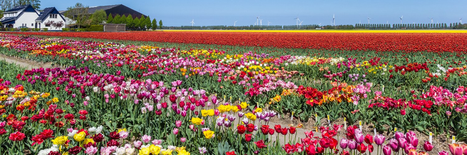 布団ちゃん(魔神) banner