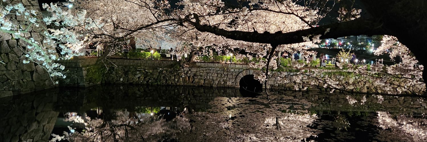 hiyoco's profile banner image