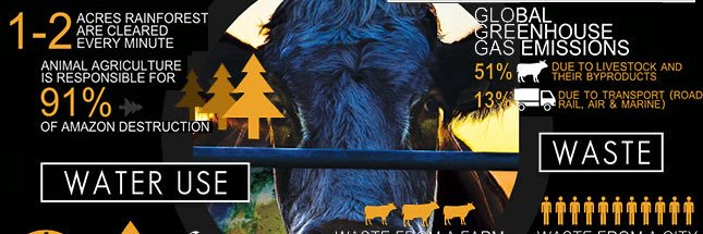 cowspiracybot's profile banner image