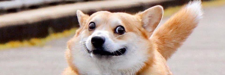 BenzSura's profile banner image