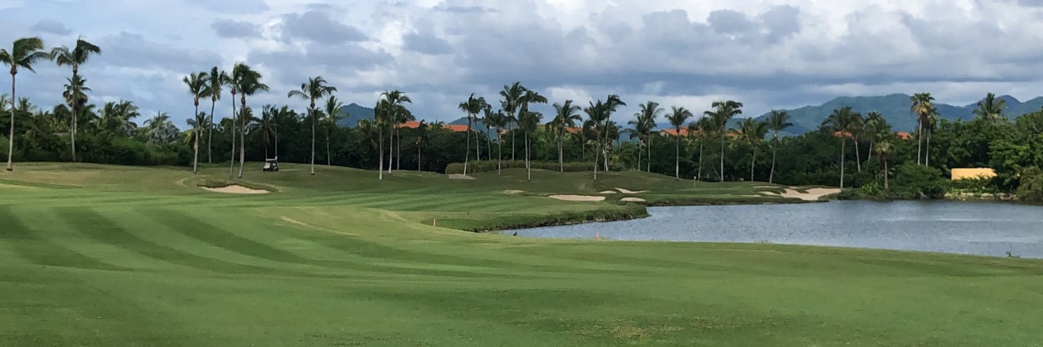 kokotejeda's profile banner image