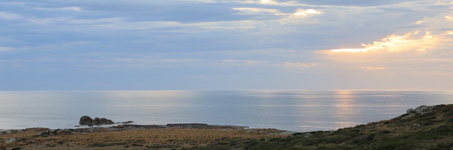 Tommy Son banner