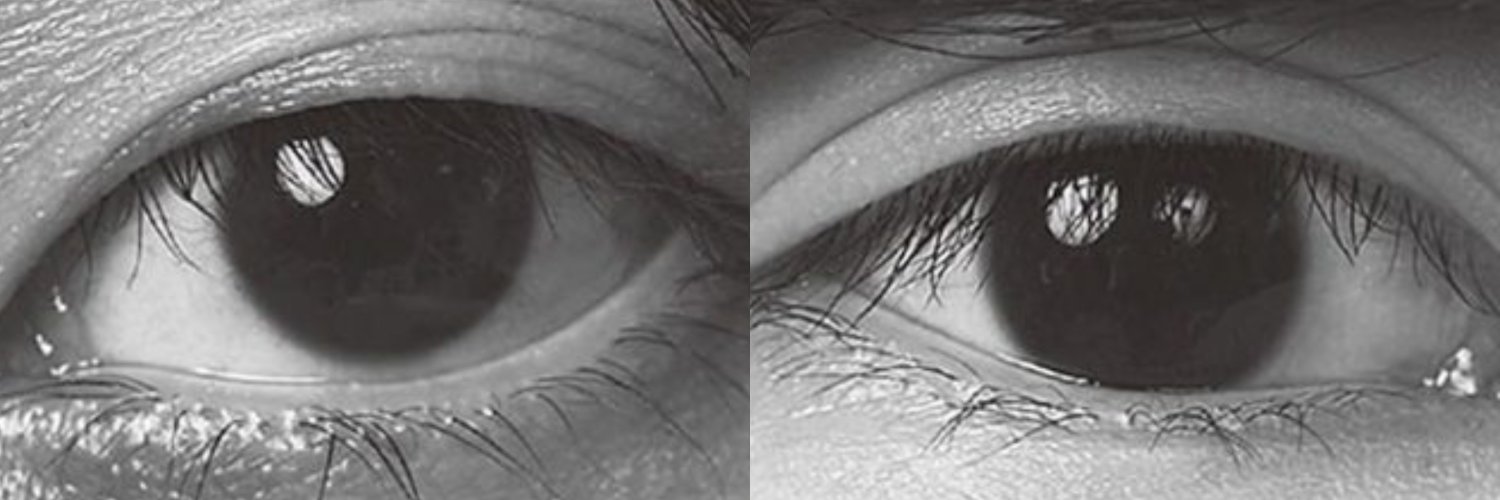 ephaporia's profile banner image
