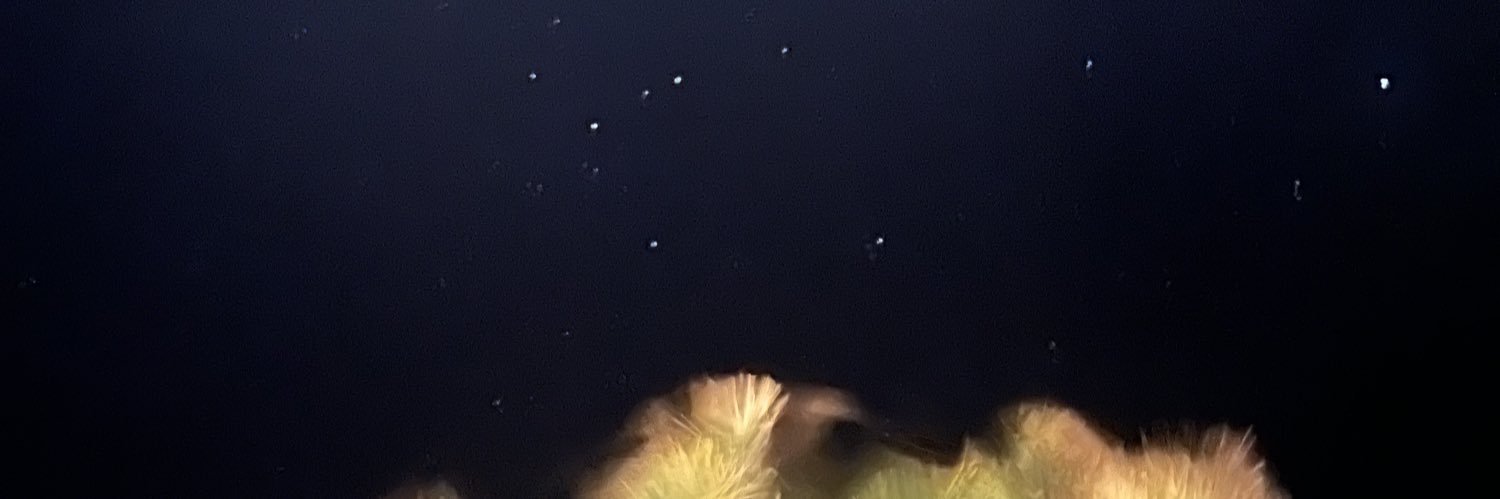 TaibahBaz's profile banner image