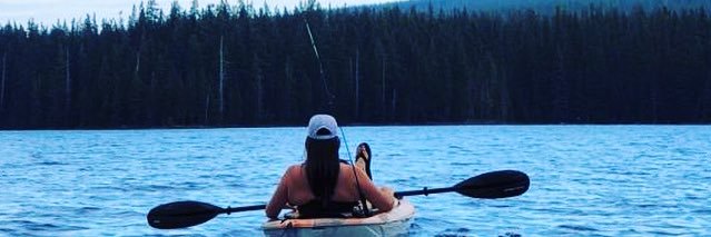 Suzanne Armstrong banner